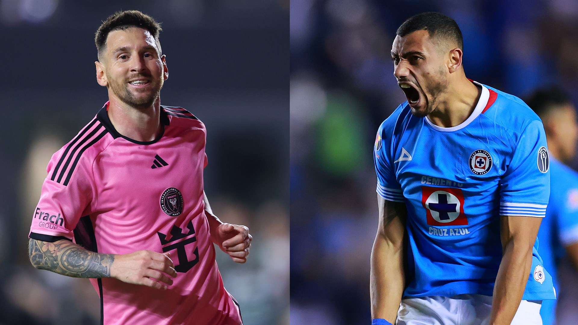 组织性和纪 组织性和纪